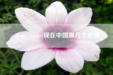 鄂州现在中国哪几个金牌