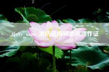 鄂州消防证国网查询操作证