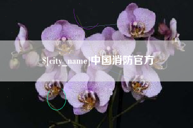 鄂州中国消防官方