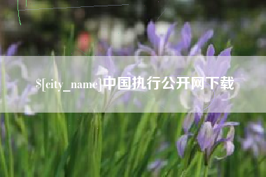 鄂州中国执行公开网下载