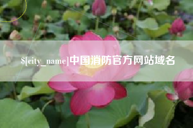 鄂州中国消防官方网站域名