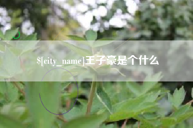 鄂州王子豪是个什么