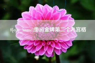 鄂州奥运金牌第二个九宫格