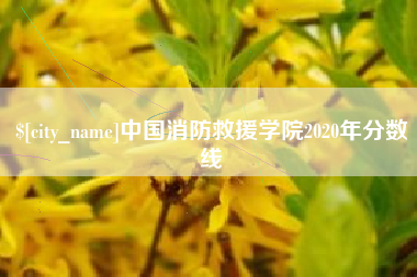 鄂州中国消防救援学院2020年分数线