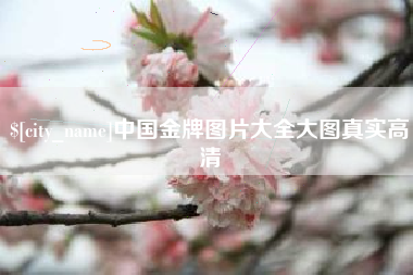 鄂州中国金牌图片大全大图真实高清