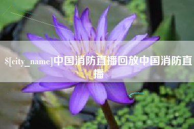 鄂州中国消防直播回放中国消防直播
