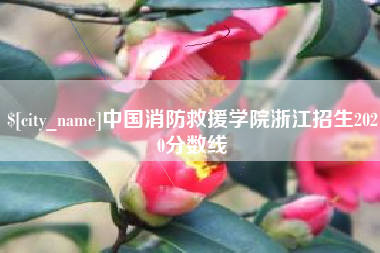 鄂州中国消防救援学院浙江招生2020分数线