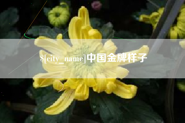 鄂州中国金牌样子