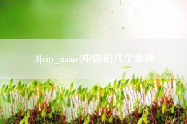 鄂州中国的几个金牌