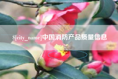 鄂州中国消防产品质量信息