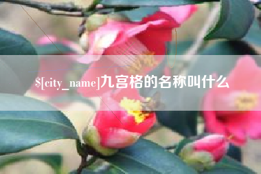 鄂州九宫格的名称叫什么