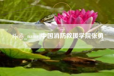 鄂州中国消防救援学院张勇