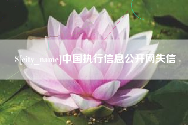 鄂州中国执行信息公开网失信