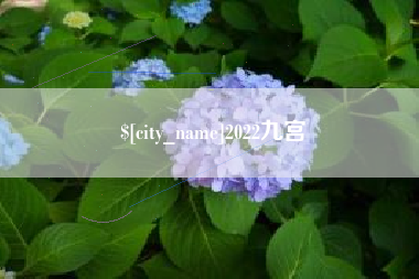 鄂州2022九宫