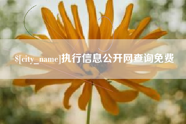 鄂州执行信息公开网查询免费