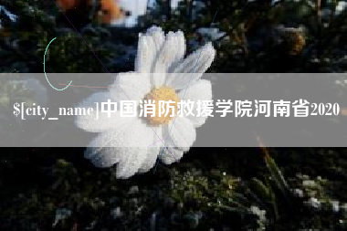 鄂州中国消防救援学院河南省2020